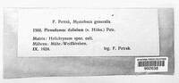 Plenodomus doliolum image